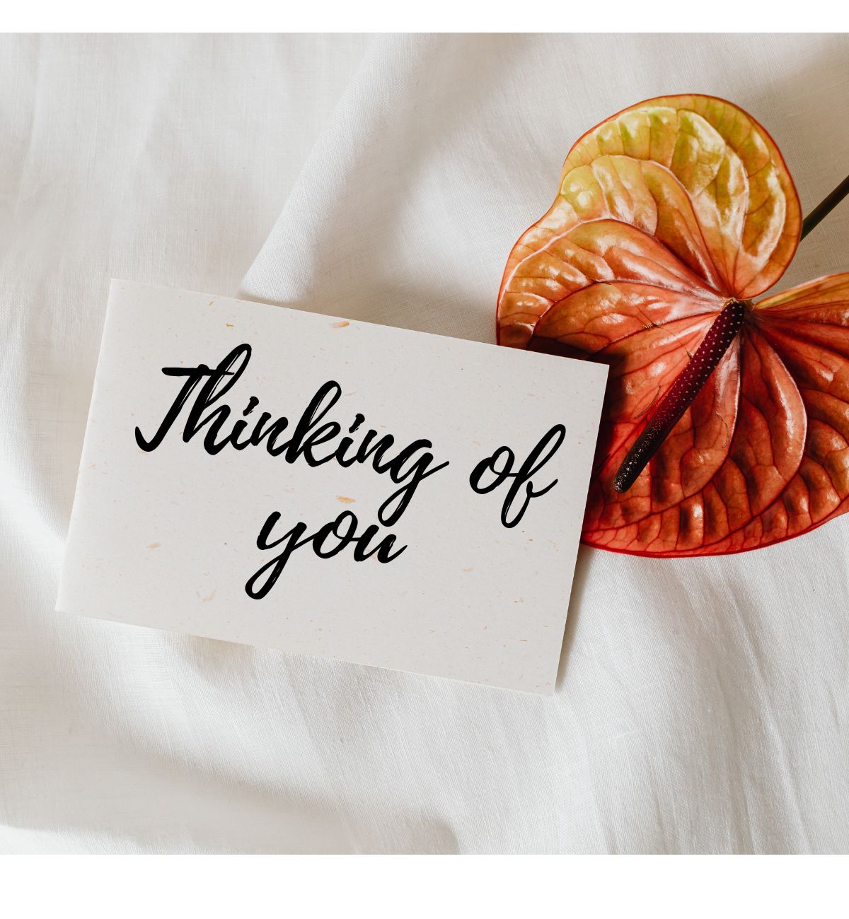 Greeting Card